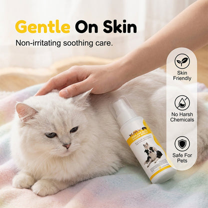 🔥Selling Fast – 49% OFF！🎁Tick Season is Here🕷🛡️Pet Pest Repellent Spray