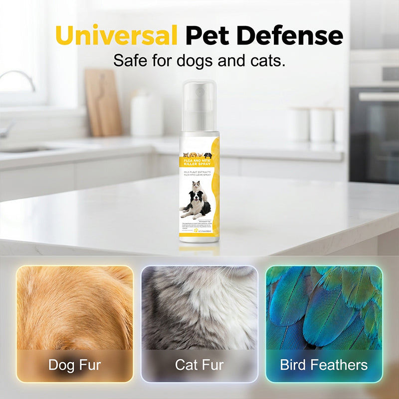 🔥Selling Fast – 49% OFF！🎁Tick Season is Here🕷🛡️Pet Pest Repellent Spray