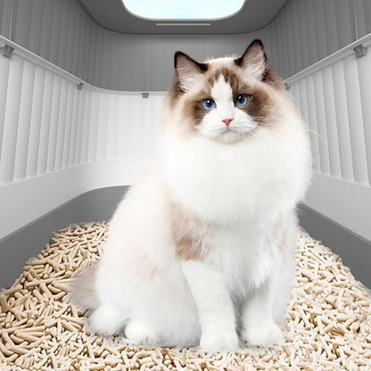💥 49% OFF FLASH SALE! Foldable Drawer-Style Cat Litter Box – Space-Saving & Easy-Clean 🐱🧺 【Limited Time】