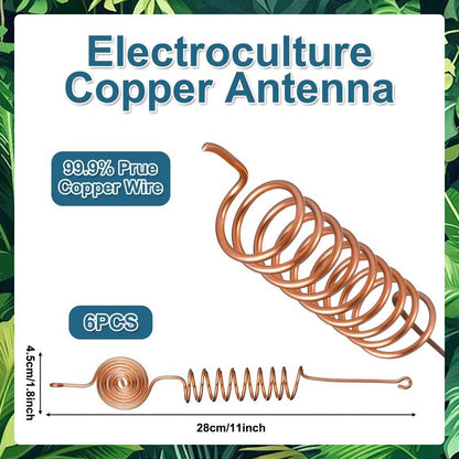 🔥While Supplies Last 49% OFF!🎉 Electroculture Copper Gardening Antenna