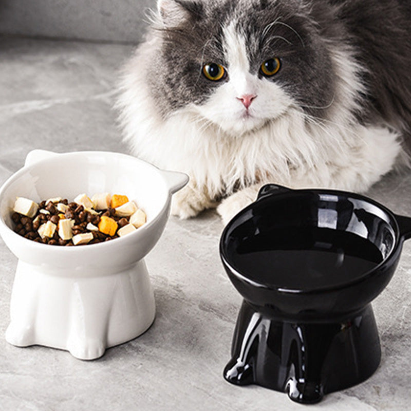 🐱 LIMITED-TIME 49% OFF! ✨ Ergonomic Elevated Cat Bowl – 15° Tilt, Anti-Ti