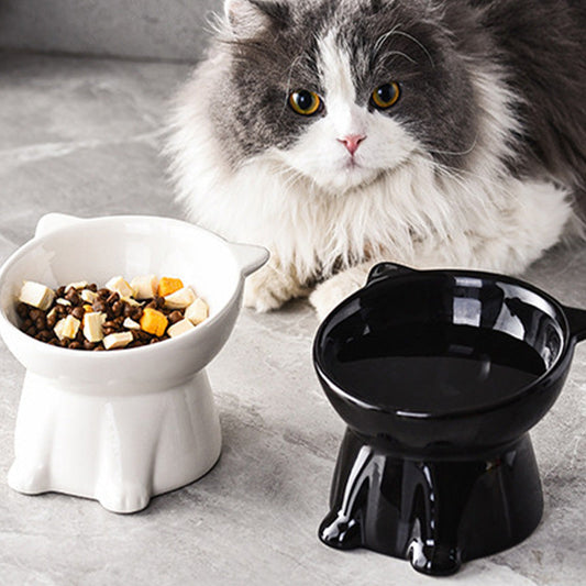 🐱 LIMITED-TIME 49% OFF! ✨ Ergonomic Elevated Cat Bowl – 15° Tilt, Anti-Ti
