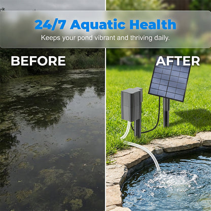 ☀️ Solar pond aerator with built-in air pump🐟