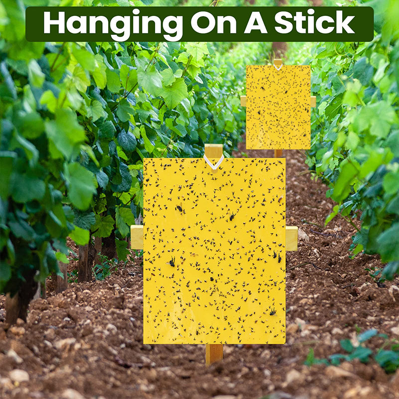 🔥Limited-time offer🌿Super-Sticky Double-Sided Insect Traps (20 Packs)