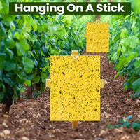 🔥Limited-time offer🌿Super-Sticky Double-Sided Insect Traps (20 Packs)