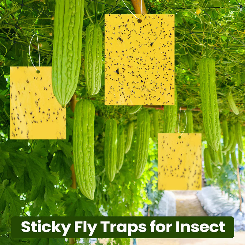 🔥Limited-time offer🌿Super-Sticky Double-Sided Insect Traps (20 Packs)