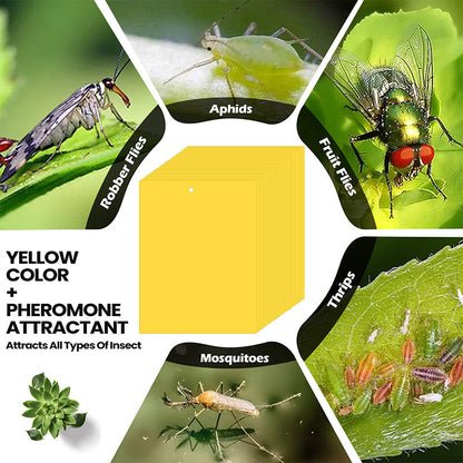 🔥Limited-time offer🌿Super-Sticky Double-Sided Insect Traps (20 Packs)