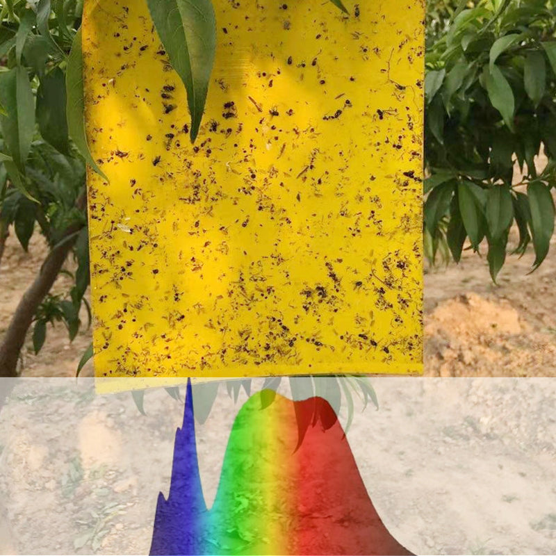 🔥Limited-time offer🌿Super-Sticky Double-Sided Insect Traps (20 Packs)