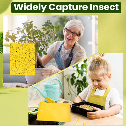 🔥Limited-time offer🌿Super-Sticky Double-Sided Insect Traps (20 Packs)