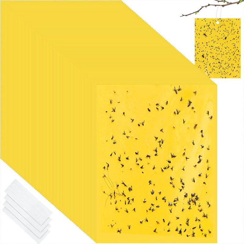 🔥Limited-time offer🌿Super-Sticky Double-Sided Insect Traps (20 Packs)