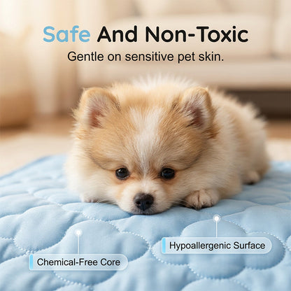 🐾 LIMITED-TIME 49% OFF! 💥 Instant Cooling Pet Mat – Scratch Resistant, Non-Toxic, Wipe Clean ✨