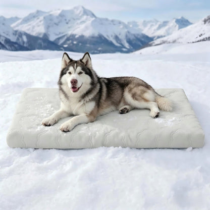 🐾 LIMITED-TIME 49% OFF! 💥 Instant Cooling Pet Mat – Scratch Resistant, Non-Toxic, Wipe Clean ✨