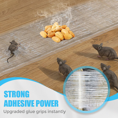 📢📢49% OFF !! ⏰1.2M Large Transparent Mouse Trap