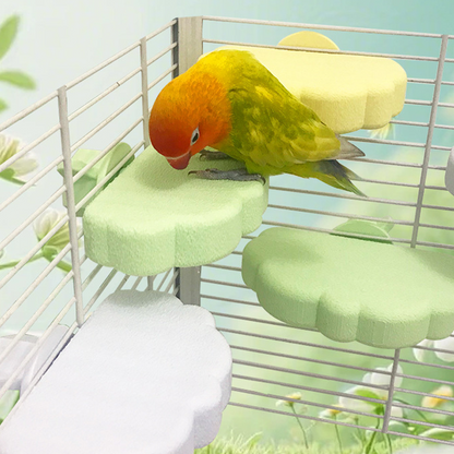 📢📢49% OFF !! ⏰Cute Cloud-Shaped Bird Perch Platform