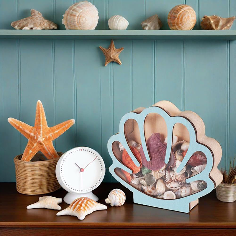🐚 49% OFF NOW! ✨ Seashell Display Case with Acrylic Panel – Transparent & dustproof – Perfect for collections, crafts or souvenirs – elegant tabletop or shelf display 🏖️🌟