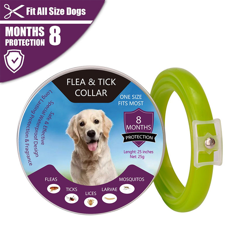 🐾 LIMITED-TIME 40% OFF! ✨ Flea & Tick Collar for Dogs & Cats – 8 Months Protection, Waterproof, Adjustable 🌿