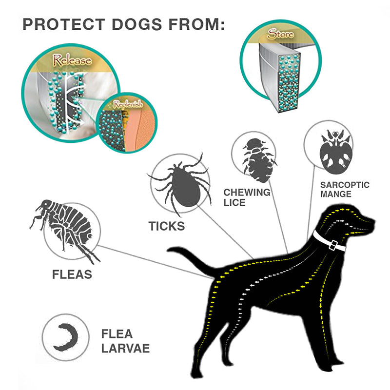 🐾 LIMITED-TIME 40% OFF! ✨ Flea & Tick Collar for Dogs & Cats – 8 Months Protection, Waterproof, Adjustable 🌿