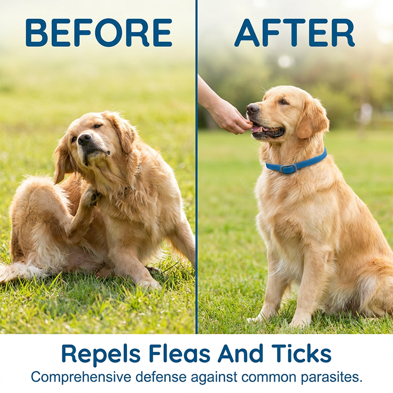 ⏰🔥LIMITED TIME 49% OFF!🔥50K+ SOLD! Natural Essential Oil Pet Pest Repellent Collar