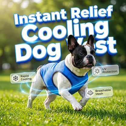🐶 LIMITED-TIME 49% OFF! ✨ Cooling Dog Vest – Breathable Mesh, Heat Relief, Active Pets 🌊