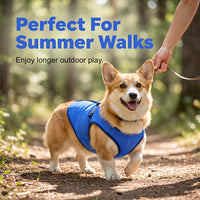 🐶 LIMITED-TIME 49% OFF! ✨ Cooling Dog Vest – Breathable Mesh, Heat Relief, Active Pets 🌊