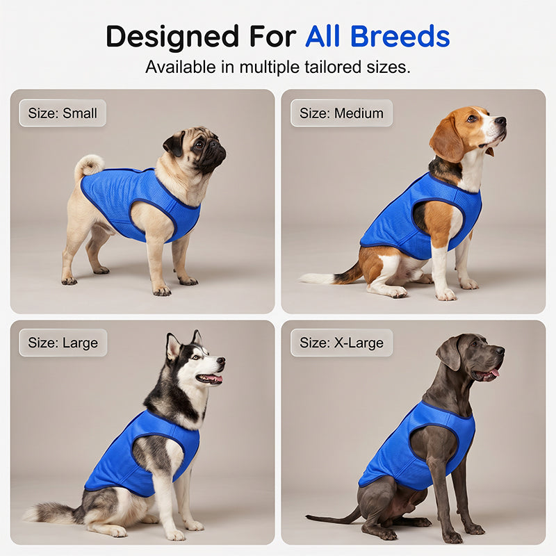 🐶 LIMITED-TIME 49% OFF! ✨ Cooling Dog Vest – Breathable Mesh, Heat Relief, Active Pets 🌊