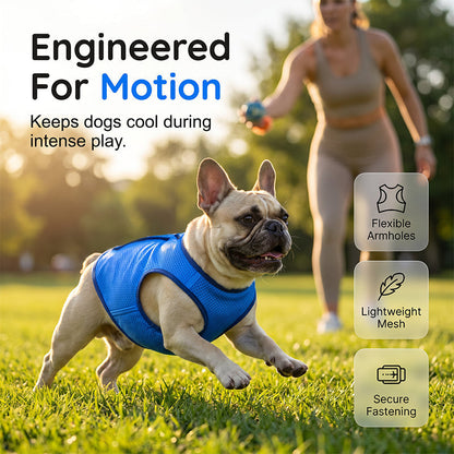 🐶 LIMITED-TIME 49% OFF! ✨ Cooling Dog Vest – Breathable Mesh, Heat Relief, Active Pets 🌊