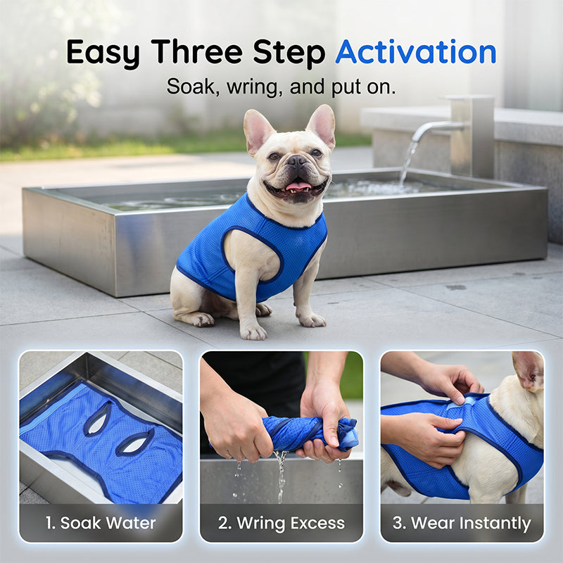 🐶 LIMITED-TIME 49% OFF! ✨ Cooling Dog Vest – Breathable Mesh, Heat Relief, Active Pets 🌊