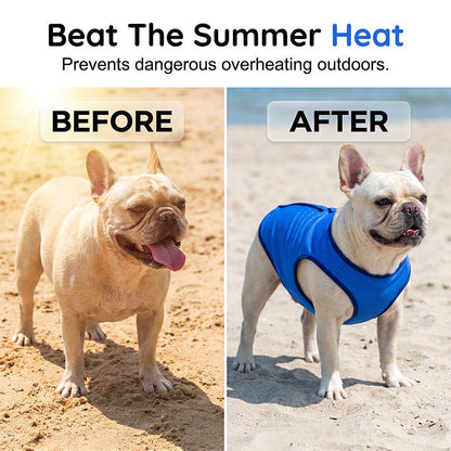 🐶 LIMITED-TIME 49% OFF! ✨ Cooling Dog Vest – Breathable Mesh, Heat Relief, Active Pets 🌊