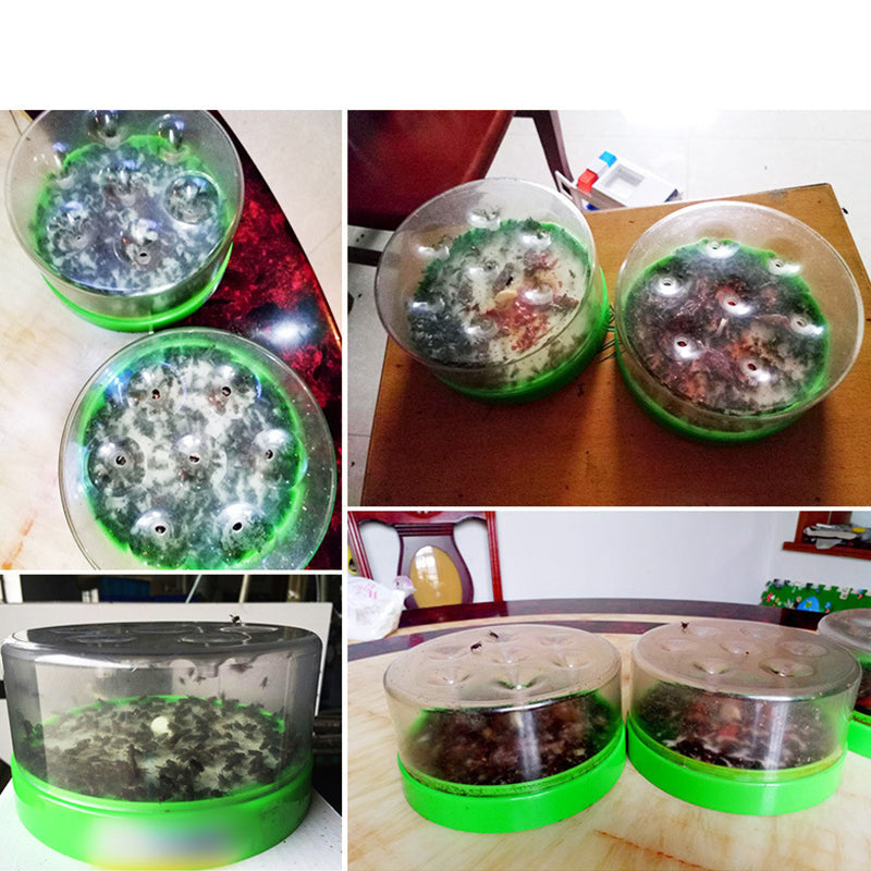 🏆Flash Sale⚡50K+ SOLD! Almost Gone-💥🔌✅ Reusable fly trap—no electricity, no poison! 🏠 Safe to use in the kitchen and around children and pets.