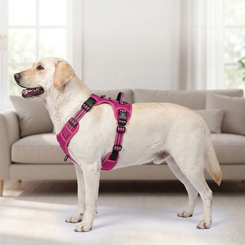 🏆LAST DAY 49% OFF🐾Outdoor Heavy Duty Dog Vest Harness