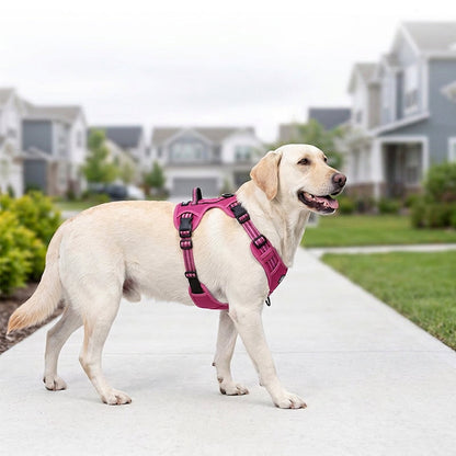 🏆LAST DAY 49% OFF🐾Outdoor Heavy Duty Dog Vest Harness