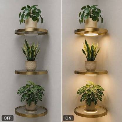 📢📢49% OFF !! ⏰Floating Wall Shelf with Built-in Ambient LED Light