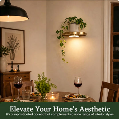 📢📢49% OFF !! ⏰Floating Wall Shelf with Built-in Ambient LED Light