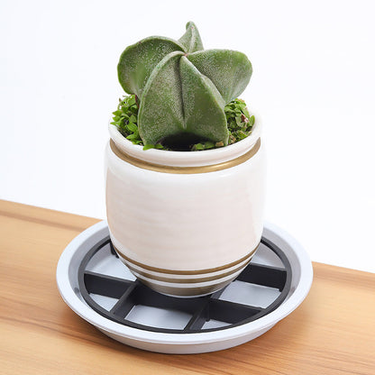 🌿🌹Root-Saving Pot Riser – elevates planters, promotes airflow, keeps floors clean – for indoor & outdoor use. 🔥🏠