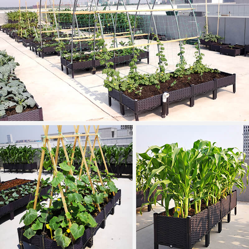 🌱 SAVE 49%! 🥬 Multifunctional Planting Box – Grow Veggies & Herbs Easily – Self-Watering, Reinforced PP & Sturdy Stable Design ✨