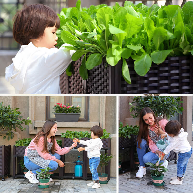 🌱 SAVE 49%! 🥬 Multifunctional Planting Box – Grow Veggies & Herbs Easily – Self-Watering, Reinforced PP & Sturdy Stable Design ✨