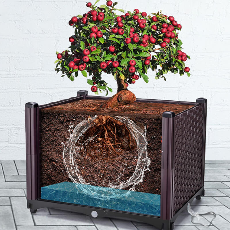 🌱 SAVE 49%! 🥬 Multifunctional Planting Box – Grow Veggies & Herbs Easily – Self-Watering, Reinforced PP & Sturdy Stable Design ✨