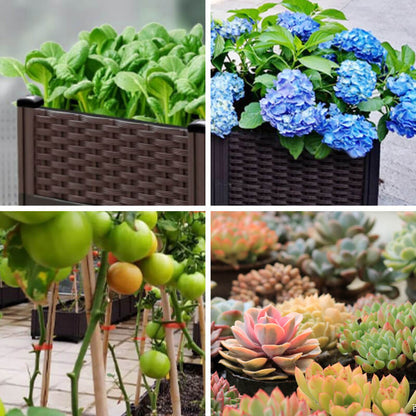 🌱 SAVE 49%! 🥬 Multifunctional Planting Box – Grow Veggies & Herbs Easily – Self-Watering, Reinforced PP & Sturdy Stable Design ✨