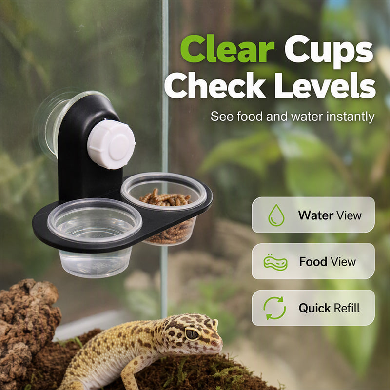 🦎 Double Reptile Feeding Ledge with Bowls – Secure Suction Hold & Removable Cups