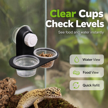🦎 Double Reptile Feeding Ledge with Bowls – Secure Suction Hold & Removable Cups