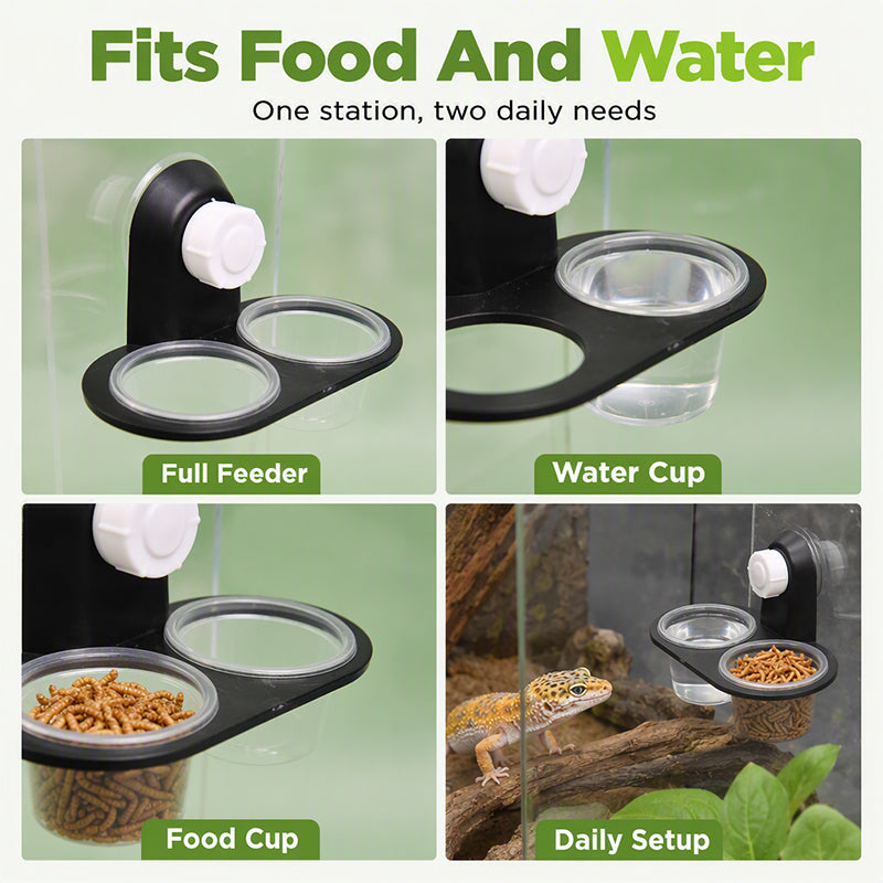 🦎 Double Reptile Feeding Ledge with Bowls – Secure Suction Hold & Removable Cups
