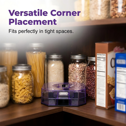 🏆 LIMITED‑TIME 49% OFF! 🏠 Reusable Effective Roach Trap – Spray-Free, One-Way Entry, Corner-Fit Design 🔒