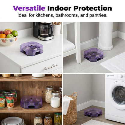 🏆 LIMITED‑TIME 49% OFF! 🏠 Reusable Effective Roach Trap – Spray-Free, One-Way Entry, Corner-Fit Design 🔒