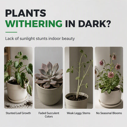 📢📢49% OFF !! ⏰Full Spectrum LED Plant Grow Light